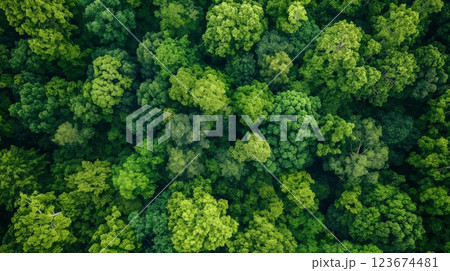 Aerial view of a dense, green forest canopy, exhibiting the beauty of nature 123674481