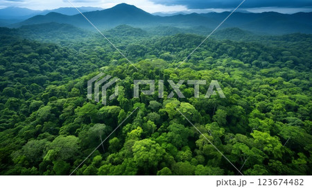 Aerial view capturing the dense, verdant expanse of a tropical rainforest 123674482