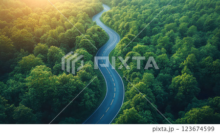 A winding road curves through a dense green forest, surrounded by mist 123674599