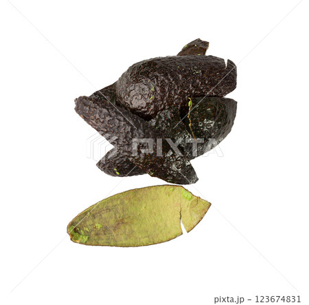 Hass Avocado Peel Isolated, Whole Sharwil Peelings, Brown Avocados Shell, Fresh Alligator Pear Skin 123674831