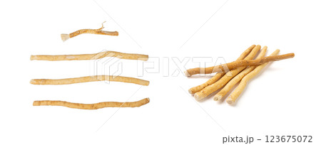 Miswak also known as Miswaak, Siwak, Sewak. Natural Wooden Toothbrush made of Salvadora Persica Tree Miswak also known as Miswaak, Siwak, Sewak. Natural Wooden Toothbrush made of Salvadora Persica Tree 123675072