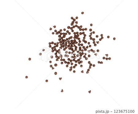 Chocolate Chips Isolated, Scattered Chocolate Sprinkles, Decorative Cocoa Drops, Cookie Decoration Ingredient 123675100