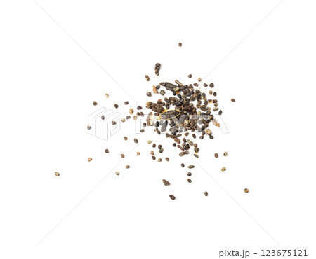 Cardamom Isolated, Green Cardamon Seeds, Dry Kardamon, Cardamum Spice, Genera Elettaria Beans 123675121