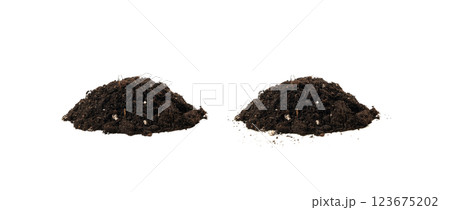 Succulent soil isolated. Dried dry dirt, ground pile, manure soil, arid dirt, natural black turf, dirty earth texture 123675202