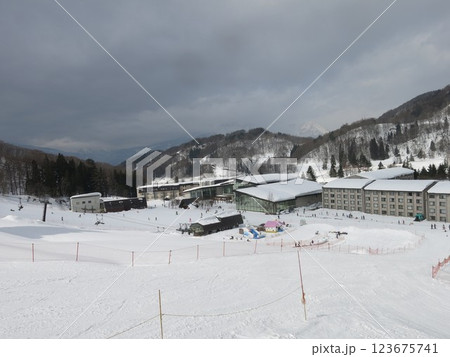 タングラムスキーサーカス 123675741