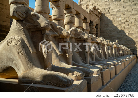 Egyptian ancient ram sphinxes on pedestals Egyptian ancient ram sphinxes on pedestals 123675769