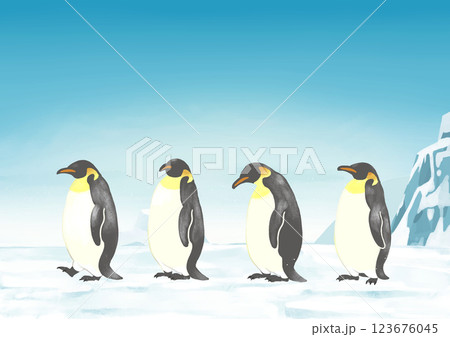 南極　一列に並ぶペンギン 123676045