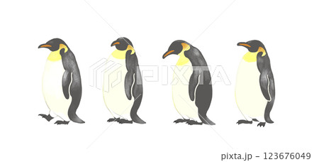 一列に並ぶペンギン 一列に並ぶペンギン 123676049