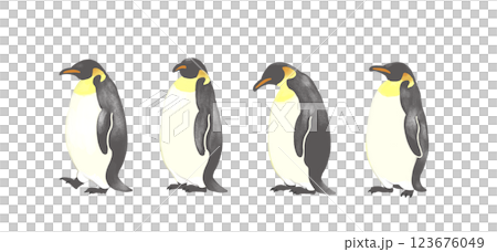 一列に並ぶペンギン 一列に並ぶペンギン 123676049