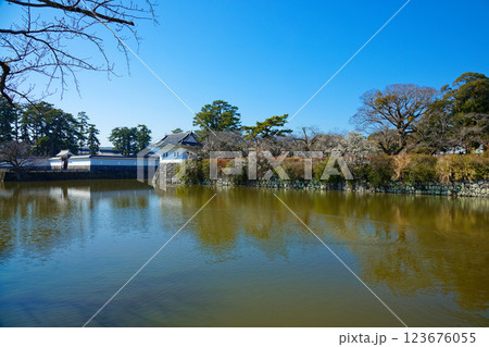 小田原城の隅櫓と満開の梅 123676055