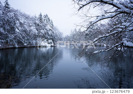 冬の軽井沢 雪化粧の雲場池 冬の軽井沢 雪化粧の雲場池 123676479