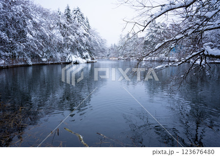 冬の軽井沢　雪化粧の雲場池 123676480