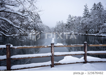 冬の軽井沢　雪化粧の雲場池 123676482
