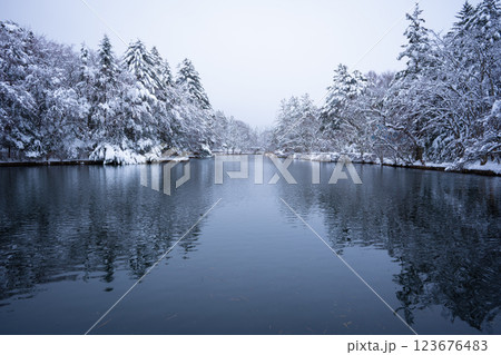 冬の軽井沢　雪化粧の雲場池 123676483