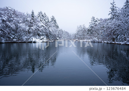 冬の軽井沢　雪化粧の雲場池 123676484