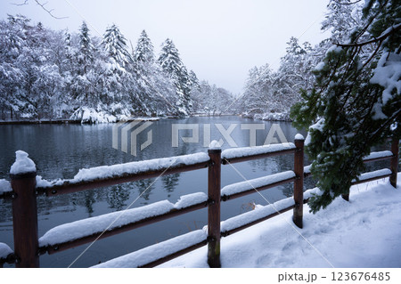 冬の軽井沢　雪化粧の雲場池 123676485
