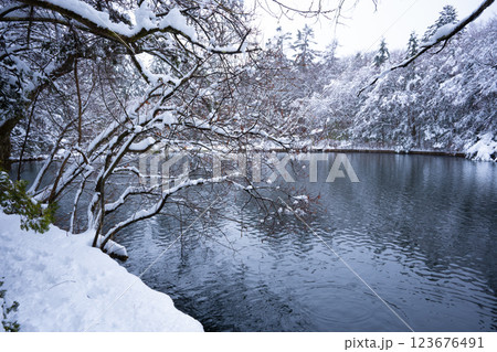 冬の軽井沢　雪化粧の雲場池 123676491
