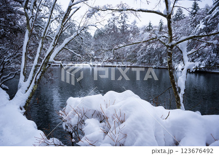 冬の軽井沢　雪化粧の雲場池 123676492