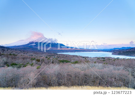 【富士山素材】山中湖明神山パノラマ台から見る雲をかぶった富士山の朝焼け【山梨県】 【富士山素材】山中湖明神山パノラマ台から見る雲をかぶった富士山の朝焼け【山梨県】 123677223