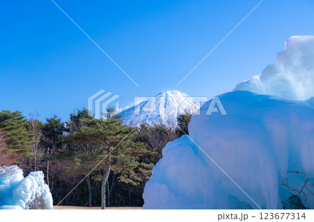 【富士山素材】西湖こおりまつりの樹氷と風景【山梨県】 【富士山素材】西湖こおりまつりの樹氷と風景【山梨県】 123677314