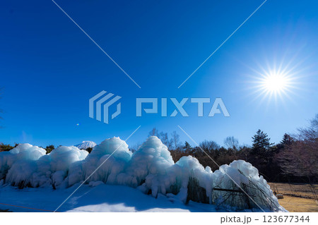【富士山素材】西湖こおりまつりの樹氷と風景【山梨県】 123677344