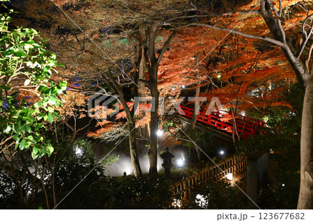 椿山荘の夜景　雲海 123677682