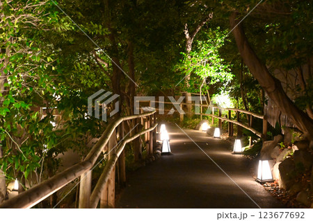 椿山荘の夜景 雲海 椿山荘の夜景 雲海 123677692