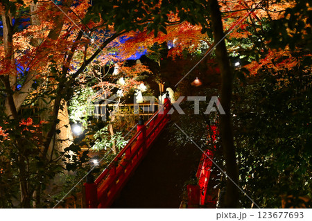 椿山荘の夜景 雲海 椿山荘の夜景 雲海 123677693