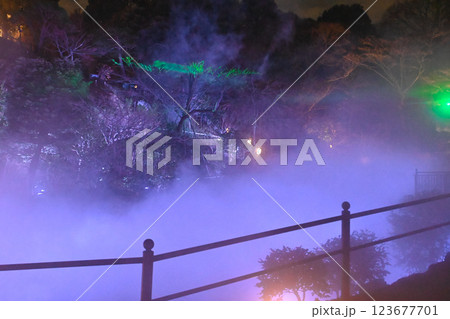 椿山荘の夜景 雲海 椿山荘の夜景 雲海 123677701