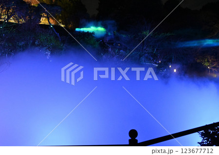 椿山荘の夜景 雲海 椿山荘の夜景 雲海 123677712