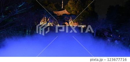 椿山荘の夜景 雲海 椿山荘の夜景 雲海 123677716
