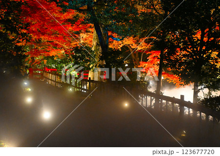 椿山荘の夜景　雲海 123677720