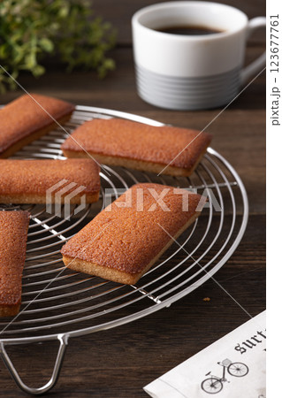 美味しそうなフィナンシェ 美味しそうなフィナンシェ 123677761