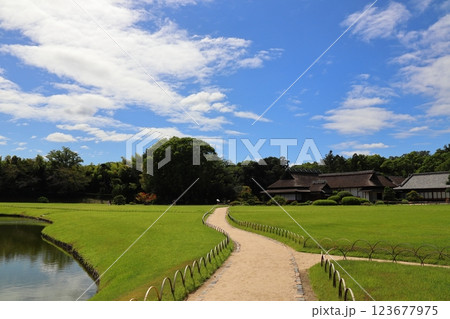 日本庭園にある芝と道 123677975