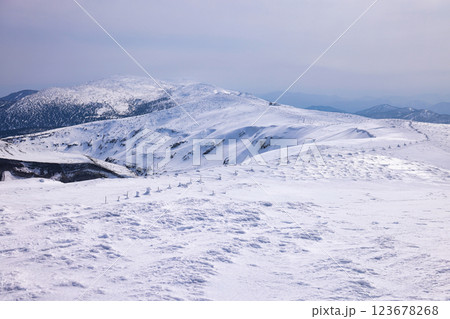 冠雪の蔵王山の稜線 123678268