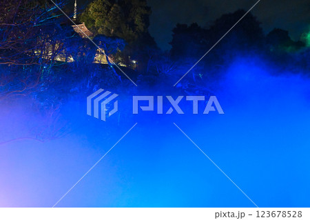 椿山荘の夜景　雲海 123678528