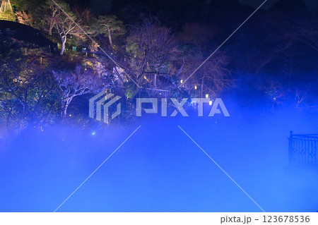 椿山荘の夜景　雲海 123678536