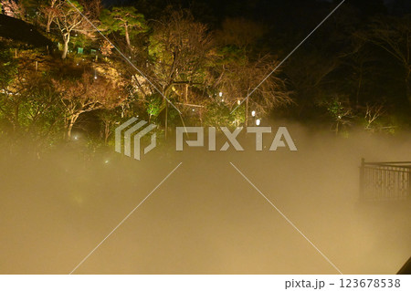 椿山荘の夜景 雲海 椿山荘の夜景 雲海 123678538