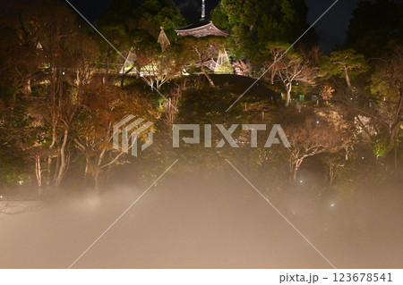 椿山荘の夜景 雲海 椿山荘の夜景 雲海 123678541