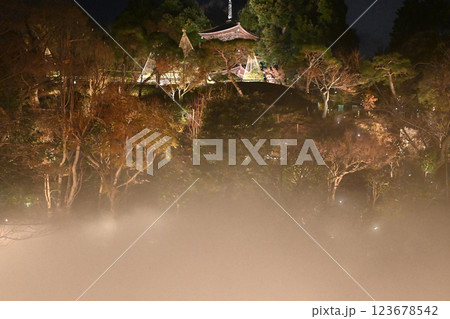 椿山荘の夜景 雲海 椿山荘の夜景 雲海 123678542
