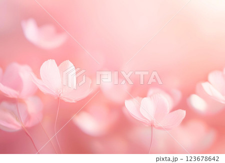 淡いピンクに包まれた桜の花 123678642