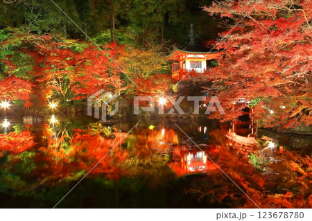 【京都府】醍醐寺の紅葉ライトアップ(夜間拝観) 【京都府】醍醐寺の紅葉ライトアップ(夜間拝観) 123678780
