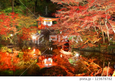【京都府】醍醐寺の紅葉ライトアップ（夜間拝観） 123678782