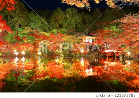 【京都府】醍醐寺の紅葉ライトアップ(夜間拝観) 【京都府】醍醐寺の紅葉ライトアップ(夜間拝観) 123678785