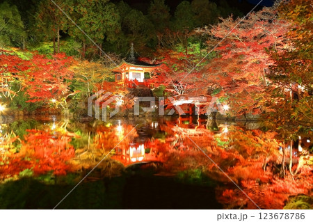 【京都府】醍醐寺の紅葉ライトアップ（夜間拝観） 123678786
