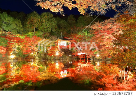 【京都府】醍醐寺の紅葉ライトアップ(夜間拝観) 【京都府】醍醐寺の紅葉ライトアップ(夜間拝観) 123678787