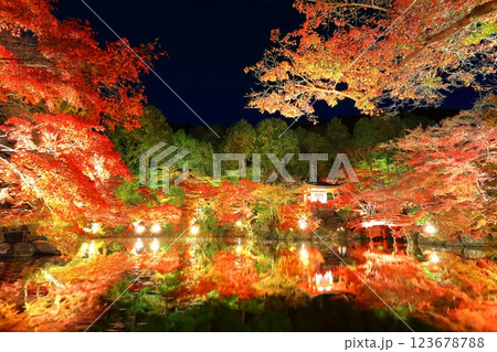 【京都府】醍醐寺の紅葉ライトアップ（夜間拝観） 123678788