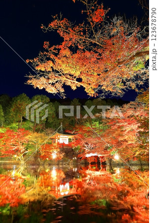 【京都府】醍醐寺の紅葉ライトアップ(夜間拝観) 【京都府】醍醐寺の紅葉ライトアップ(夜間拝観) 123678790