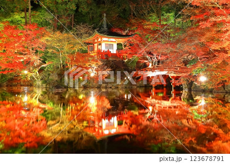 【京都府】醍醐寺の紅葉ライトアップ(夜間拝観) 【京都府】醍醐寺の紅葉ライトアップ(夜間拝観) 123678791