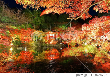【京都府】醍醐寺の紅葉ライトアップ(夜間拝観) 【京都府】醍醐寺の紅葉ライトアップ(夜間拝観) 123678792